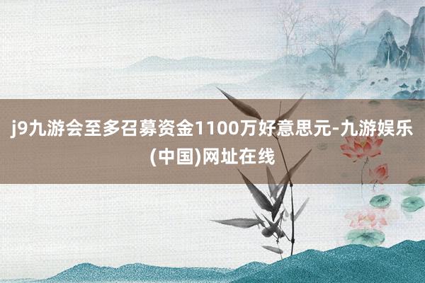 j9九游会至多召募资金1100万好意思元-九游娱乐(中国)网址在线