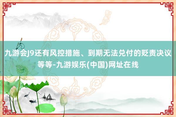 九游会J9还有风控措施、到期无法兑付的贬责决议等等-九游娱乐(中国)网址在线