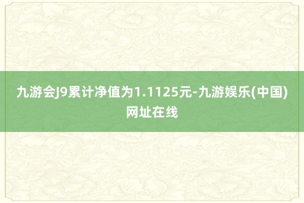 九游会J9累计净值为1.1125元-九游娱乐(中国)网址在线