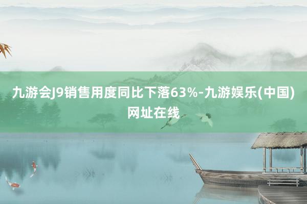 九游会J9销售用度同比下落63%-九游娱乐(中国)网址在线