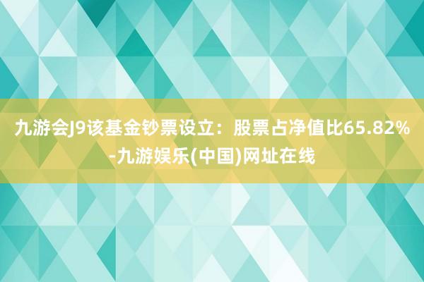 九游会J9该基金钞票设立：股票占净值比65.82%-九游娱乐(中国)网址在线